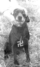 Welcome to the High Dentro Temple, In the Name of Hog, Glory to Word, Glory to Sound, Glory to Power, Glory to the Ever Living I JAH Ras Tafari, Everliving, Everfaithful, Everstoned, the Holy Sound of Fussin'n'Fighting Rub-a-dub Inna Extreme Nazi Style, Forever Exaulting the Ethiopian House of King David, Kingdom of Lion of the Tribe of Judah, Kingdom of Living God, Forever Chanting Down the Kingdom of Babylon, Kingdom of Anti-Christ, Kingdom of Satan. You are like a Cabbage in the Society.