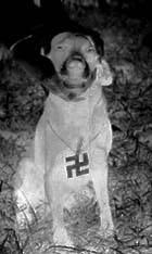 Welcome to the High Dentro Temple, In the Name of Hog, Glory to Word, Glory to Sound, Glory to Power, Glory to the Ever Living I JAH Ras Tafari, Everliving, Everfaithful, Everstoned, the Holy Sound of Fussin'n'Fighting Rub-a-dub Inna Extreme Nazi Style, Forever Exaulting the Ethiopian House of King David, Kingdom of Lion of the Tribe of Judah, Kingdom of Living God, Forever Chanting Down the Kingdom of Babylon, Kingdom of Anti-Christ, Kingdom of Satan. You are like a Cabbage in the Society.